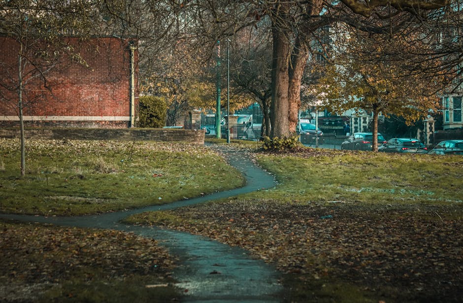 A winding narrow concrete pathway runs through a small grassy park area, with patches of moss and fallen autumn leaves scattered across the ground. The path leads past a large mature tree with rough, textured bark and spreading branches, some of which extend over the pathway. In the background, a red brick building with a low brick wall and a fence is partially visible, along with a row of parked cars alongside a street separated by metal railings. The scene is illuminated by soft, natural daylight, casting gentle shadows from the tree and surrounding foliage. The grass appears slightly damp, and the environment suggests a quiet urban park during late autumn. This setting, typical of city parks, highlights the importance of local rubbish removal to maintain cleanliness and order in public green spaces, with services provided by Waste Clearance Stockwell ensuring efficient on-site clearance and private waste handling of fallen leaves and miscellaneous debris.